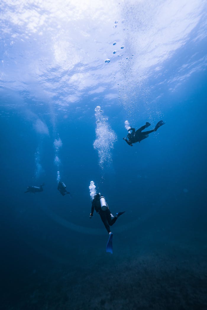 Group of scuba divers exploring the deep ocean waters of Cozumel, Mexico.