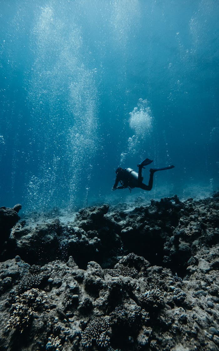 Explore the vibrant underwater world of Dahab, Egypt, with a scuba diver amidst coral reefs.